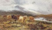 Louis bosworth hurt Highland Cattle on the Banks of a River (mk37) oil painting artist